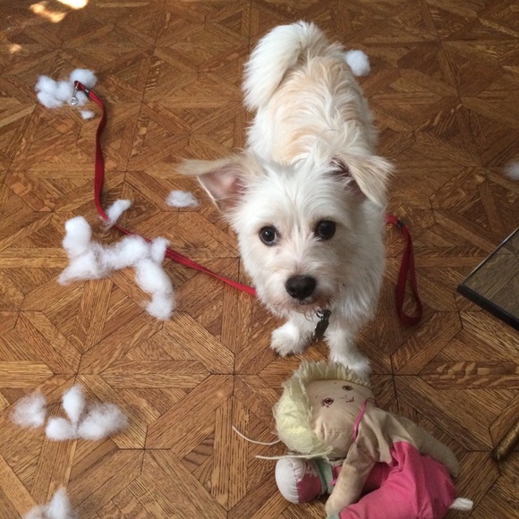 Meet your Posher, Kathleen - Picture 1 of 5